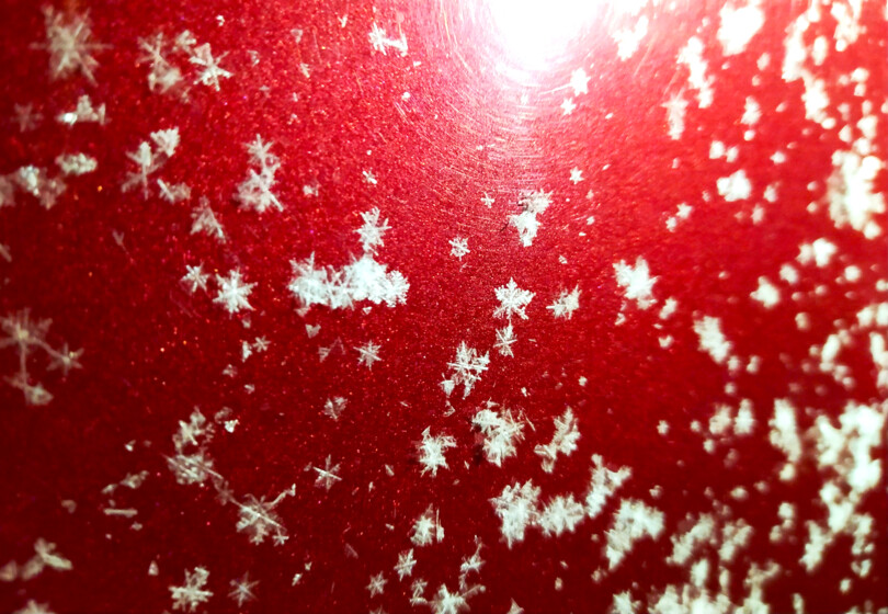 Шакальи рисуночки 7 