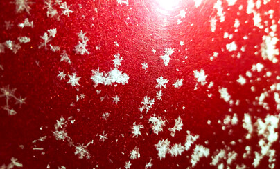 Шакальи рисуночки