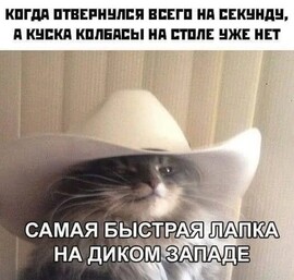 Аватар AliceWhiteRose