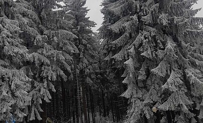 первый пост