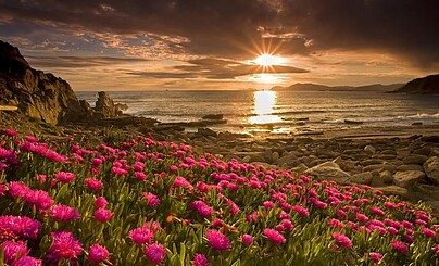 привет (●'◡'●)