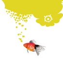 [Avatar]