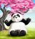панда