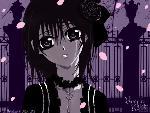 [Avatar]