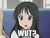 wt _