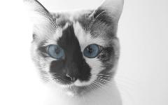 [Avatar]
