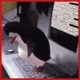 [Avatar]