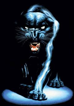 panthera_1