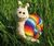 Rainbow_snaiL