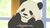 Панда-доно