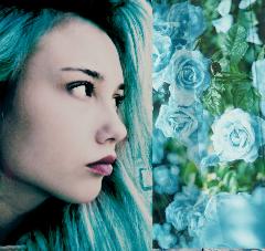 [Avatar]