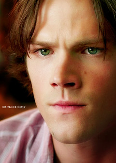 [Avatar]