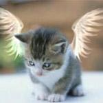 [Avatar]