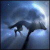 [Avatar]