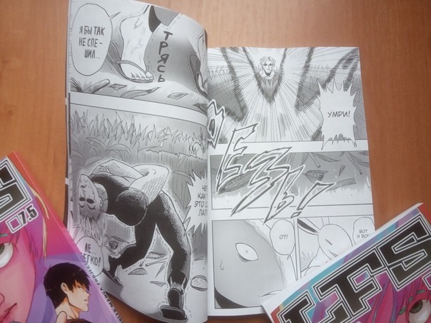 Журнал отечественной манги LFS Manga project №7,5 1 
